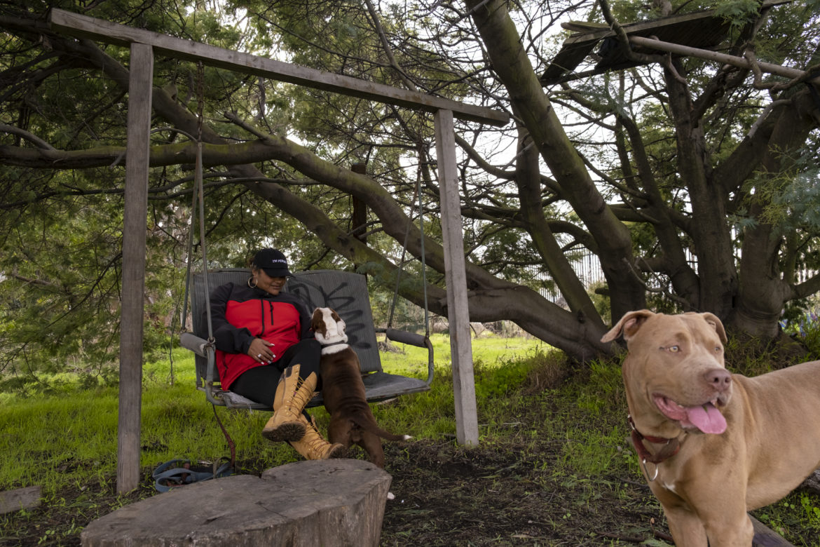 Tolbert y sus pit bulls Bonnie y Bosco visitan el North Shore Yosemite Slough Park. Su rutina diaria es dejar que sus perros corran libres en el campo mientras ella observa el dorado atardecer.