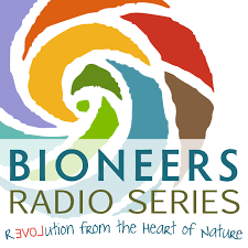 bioneers logo